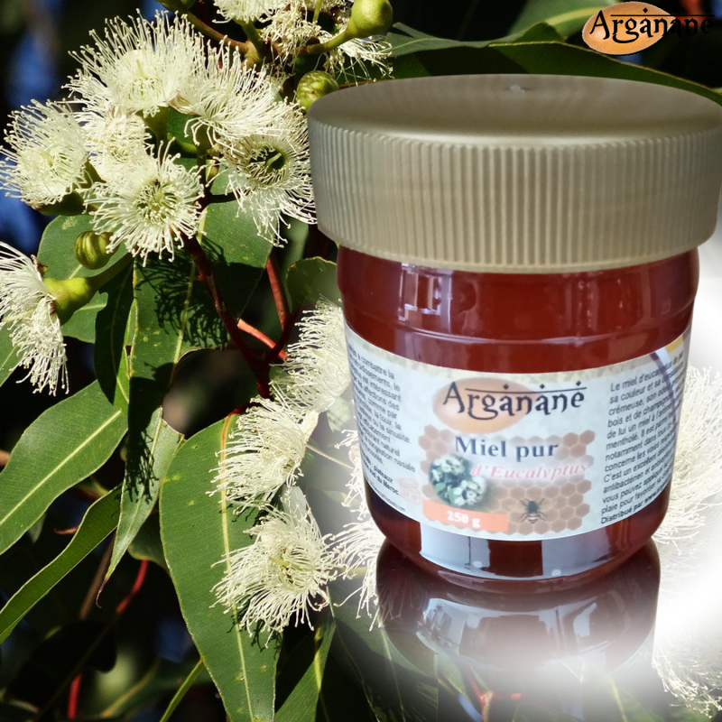 Miel d'Eucalyptus - ARGANANE